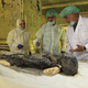 Image for article titled Why King Tut's DNA is fueling race wars